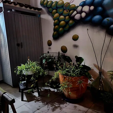 Salvia Bnb, Con Banos Privados Icod De Los Vinos